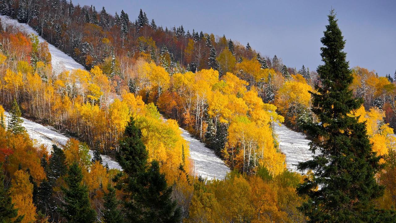 Les Bouleaux - Les Chalets Spa Canada ラ・マルベー エクステリア 写真